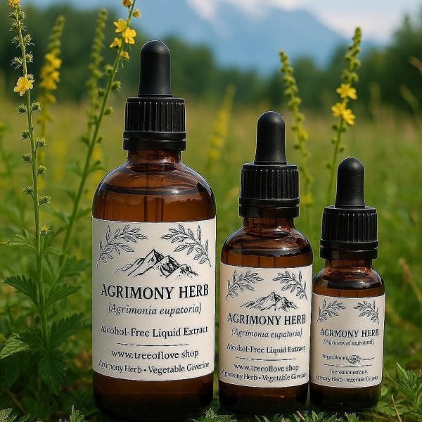 Agrimony Glycerite