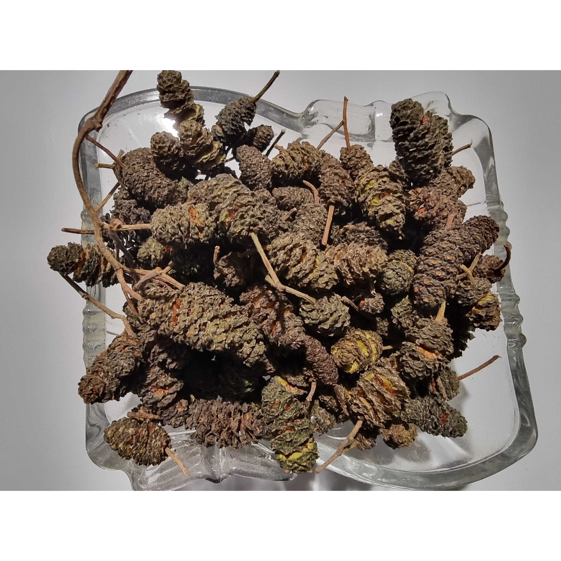 Alder cones