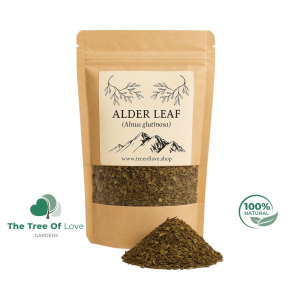 Alder Leaf