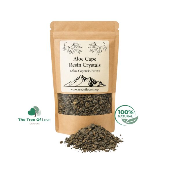 Aloe Cape Resin