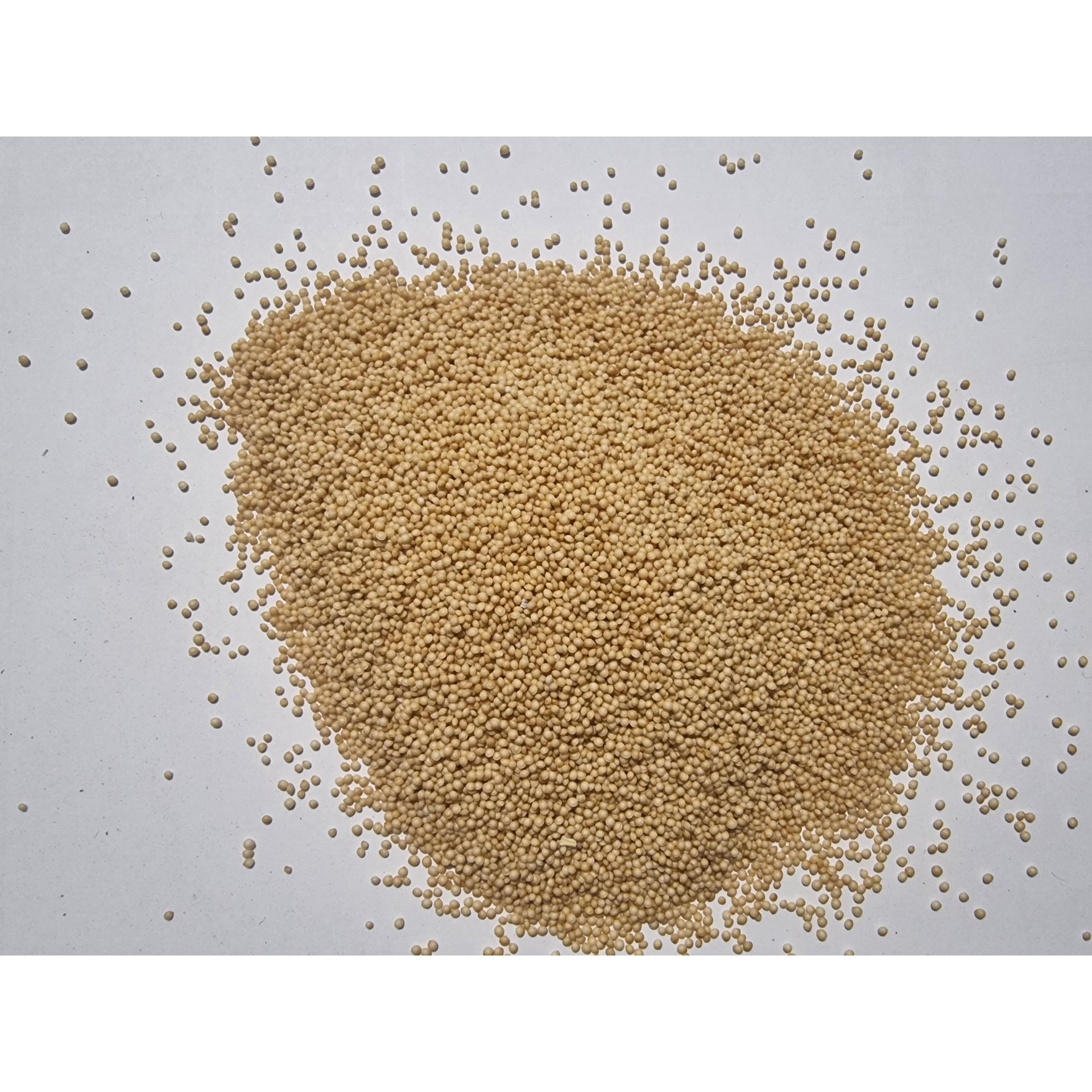 Amaranth Grain