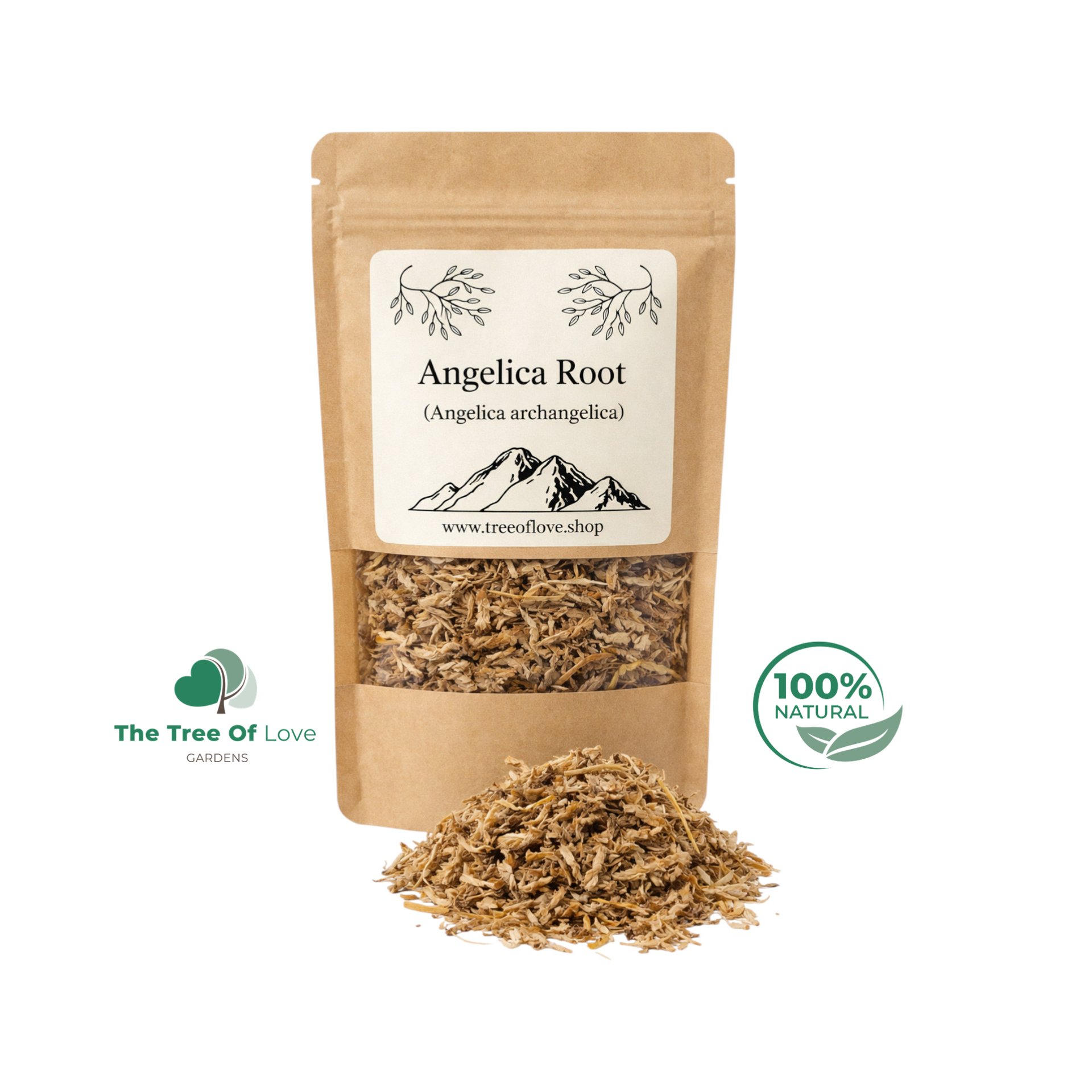 Angelica Root