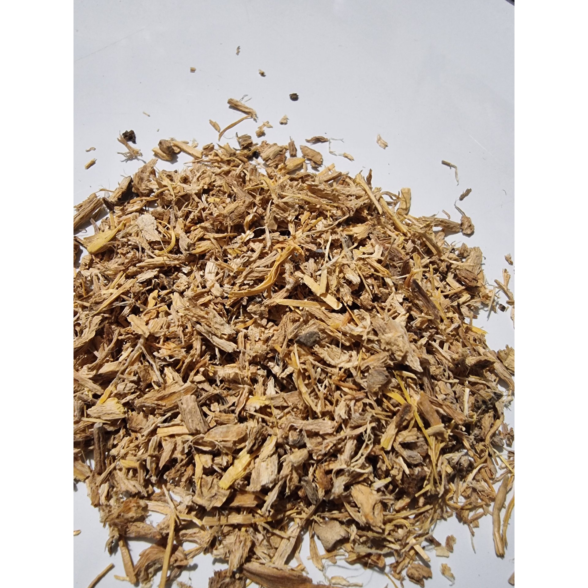 Angelica Root