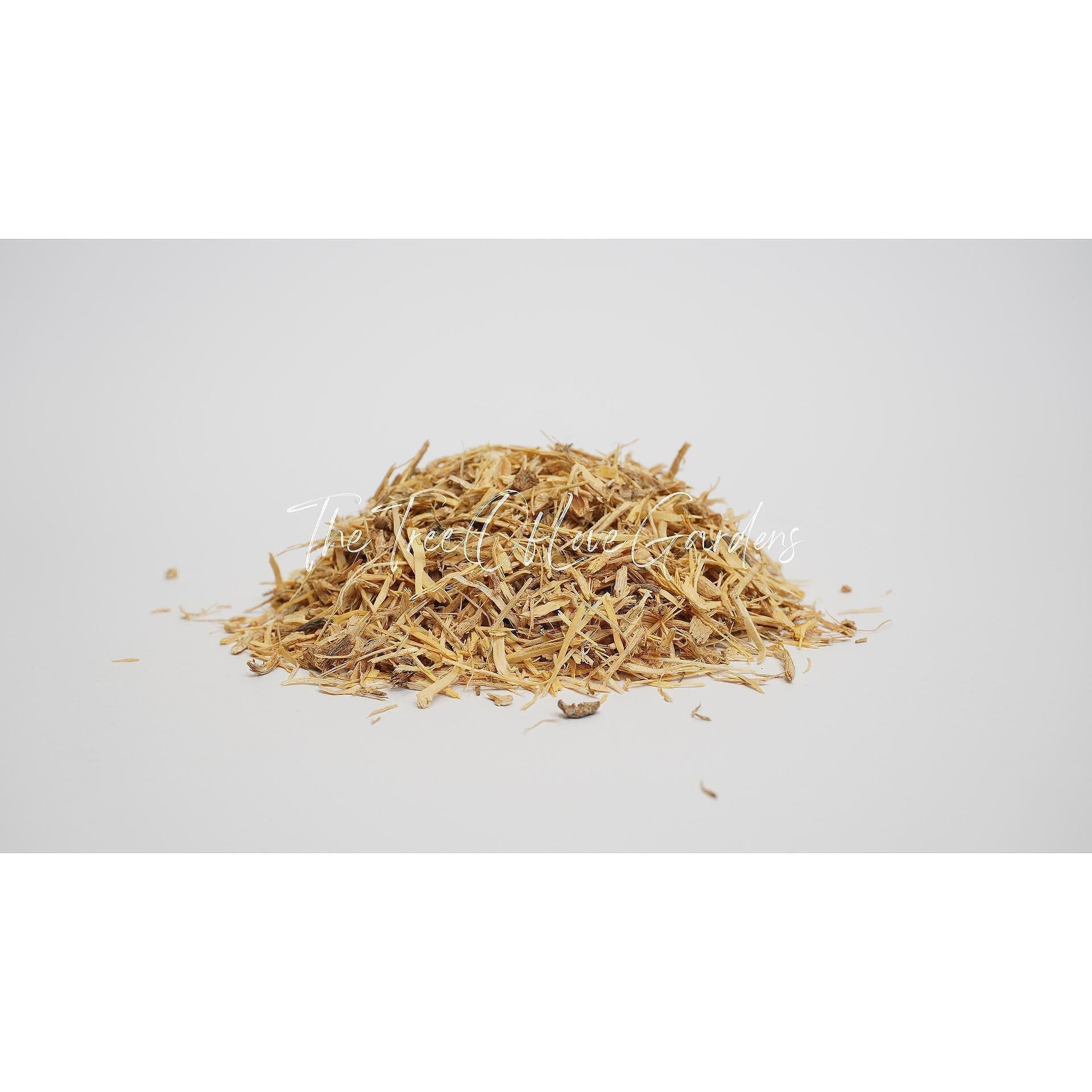 Angelica Root