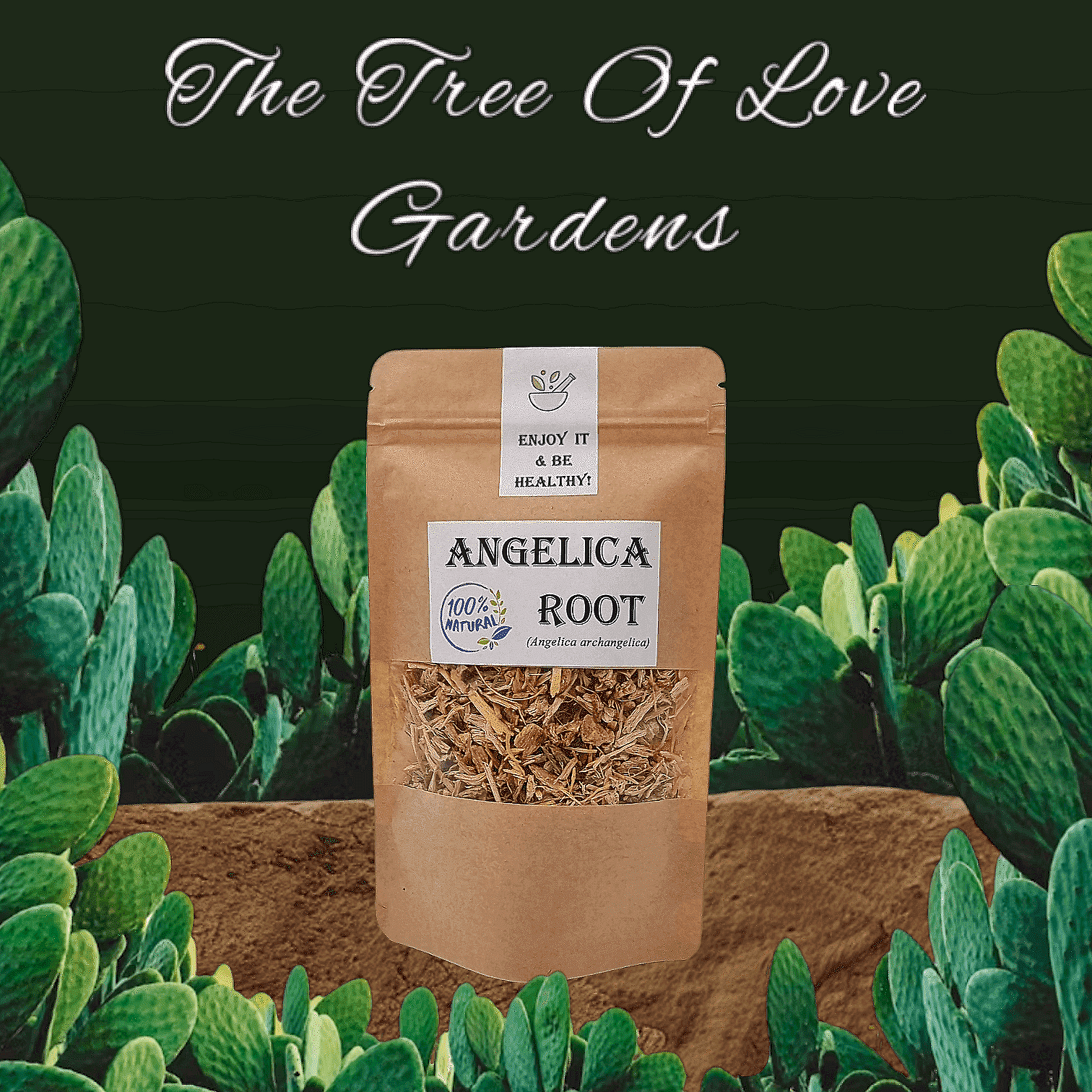 Angelica Root