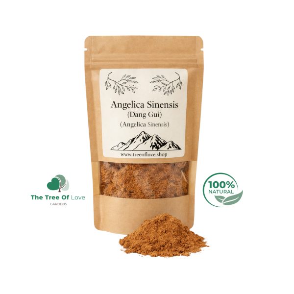 Angelica Sinensis Powder