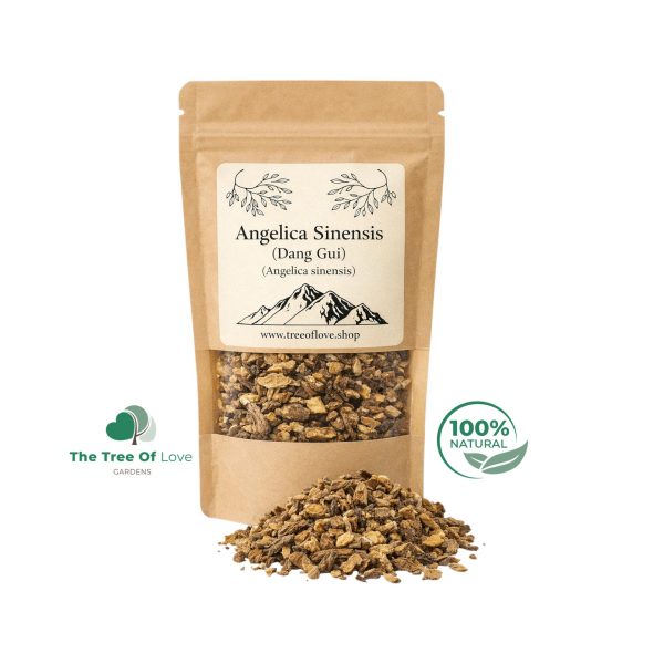 Angelica Sinensis