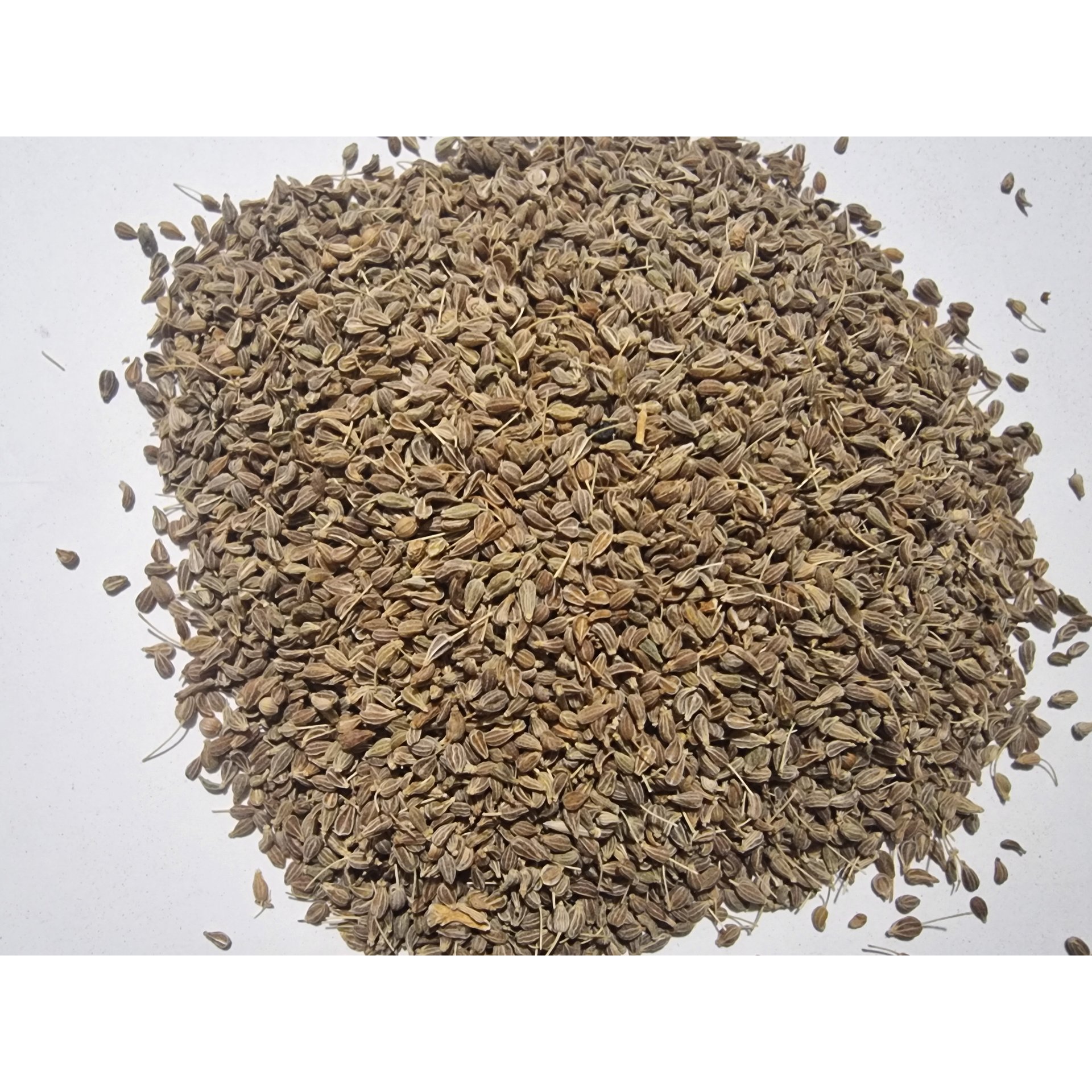 Anise Seeds