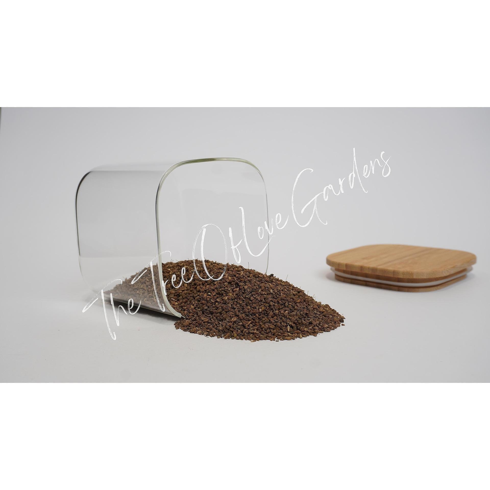 Anise Seeds