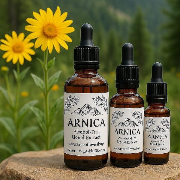 Arnica Flower Glycerite