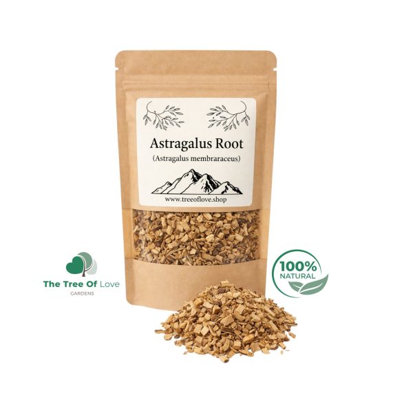 Astragalus Root