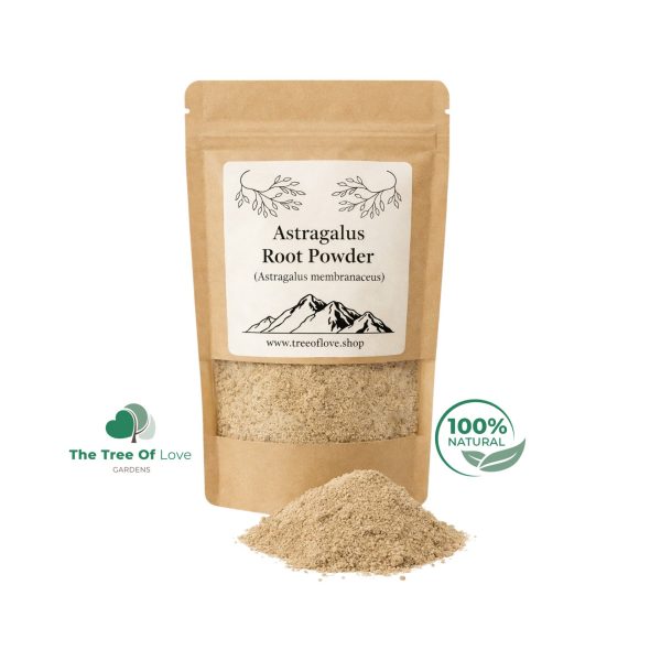 Astragalus Root