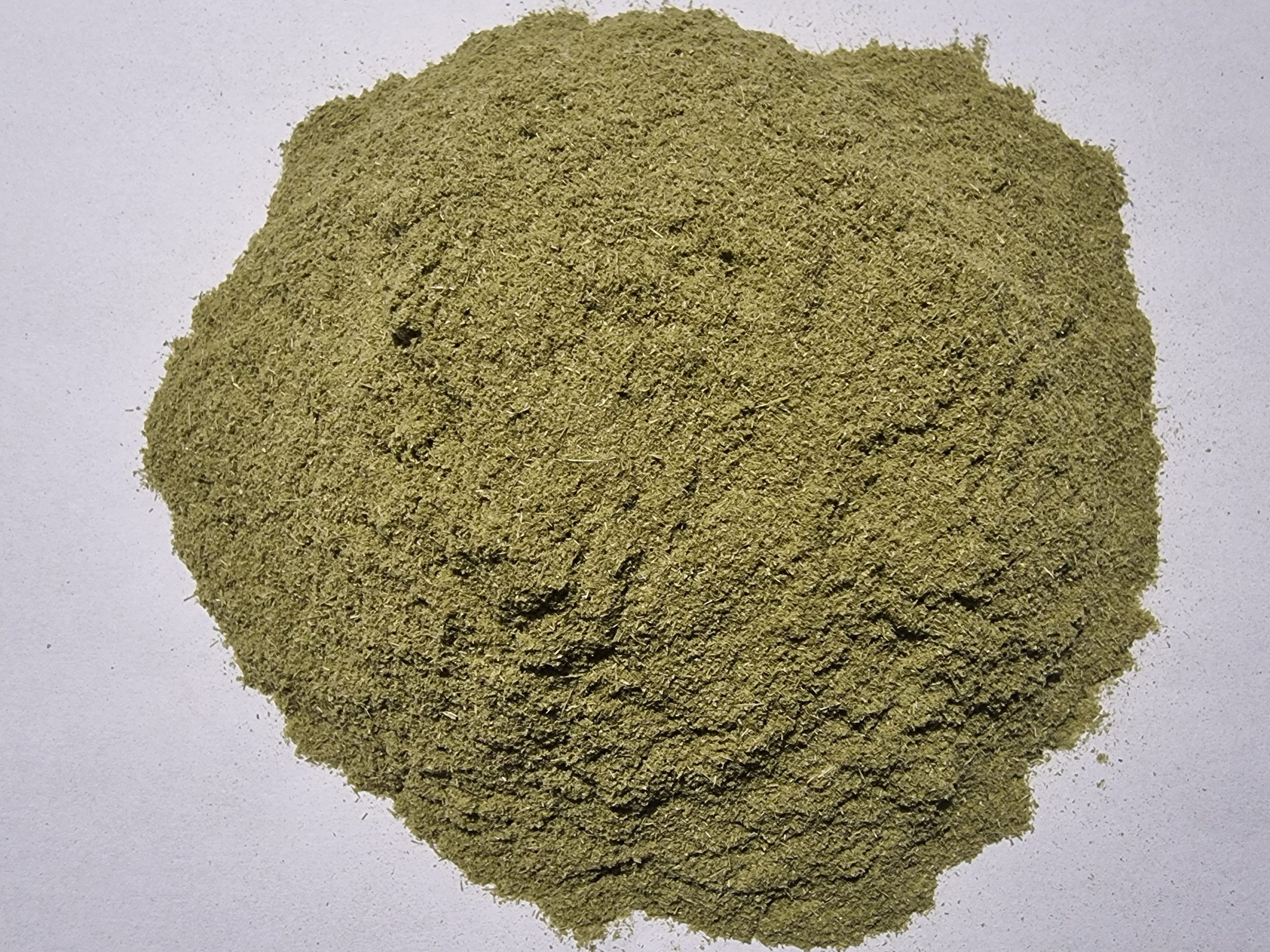 Young Barley Grass Powder