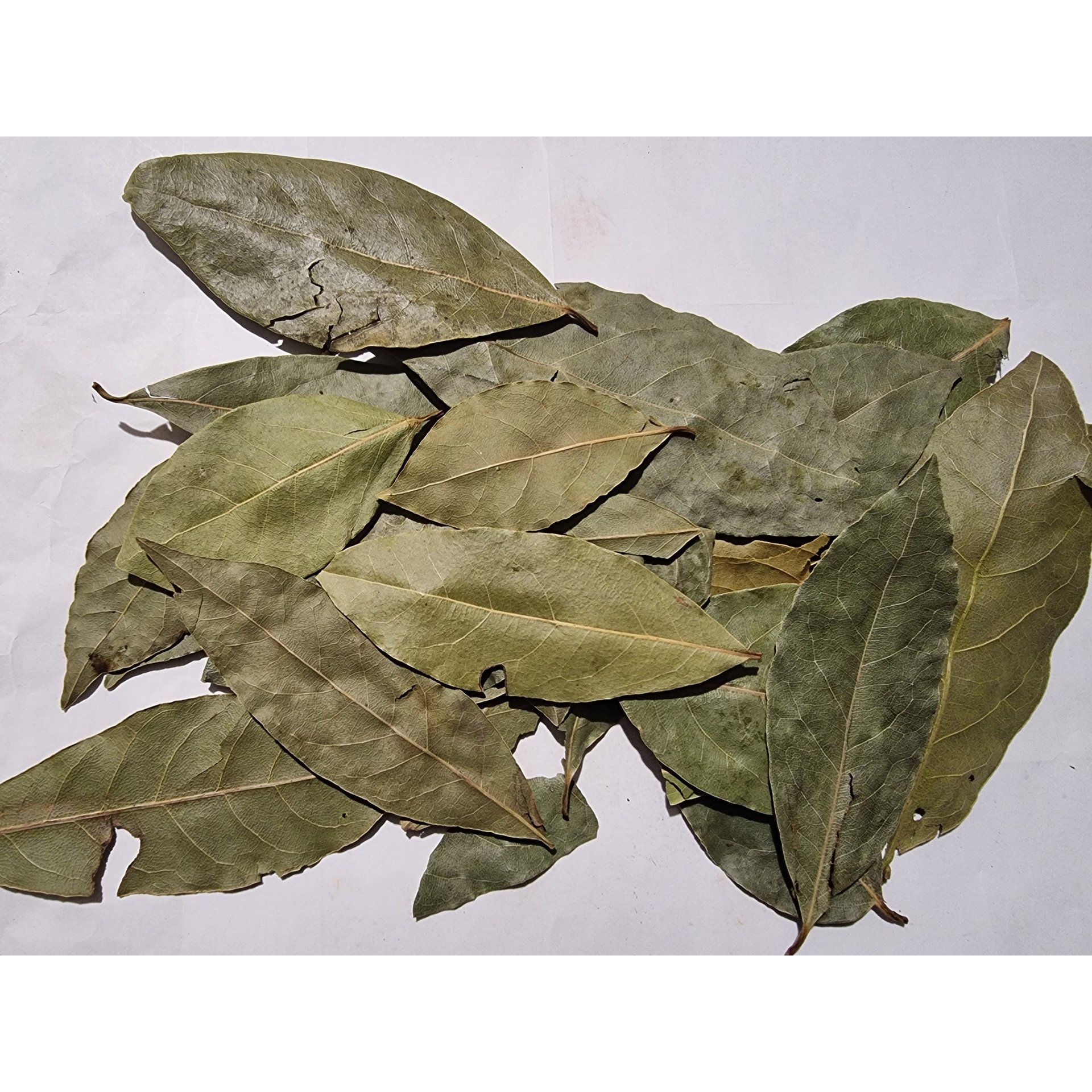 Bay Leaves