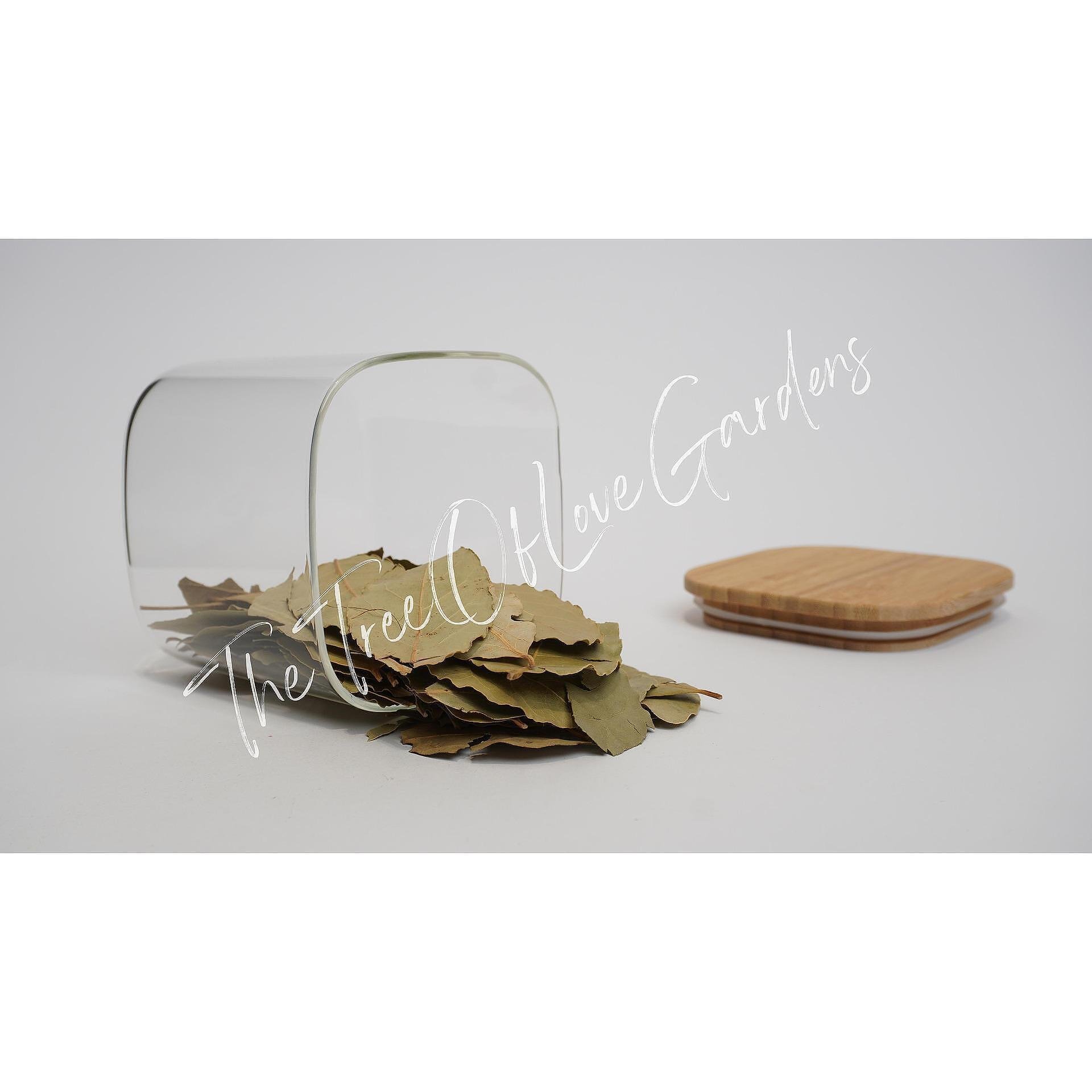 Bay Leaves