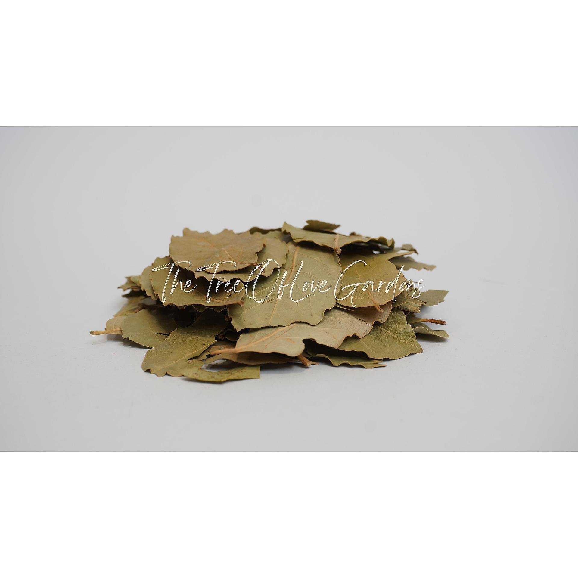 Bay Leaves