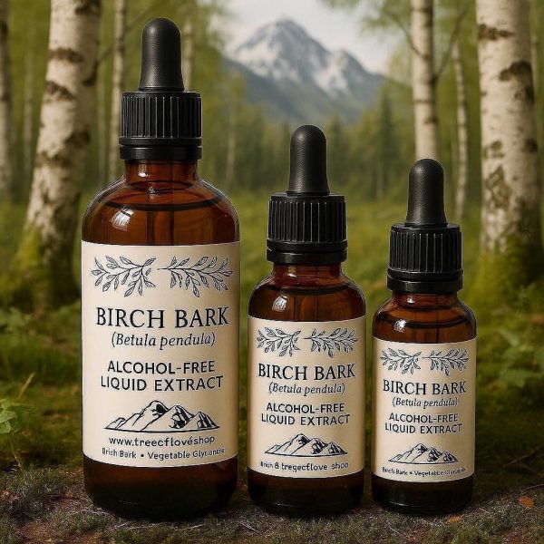 Birch Bark Glycerite