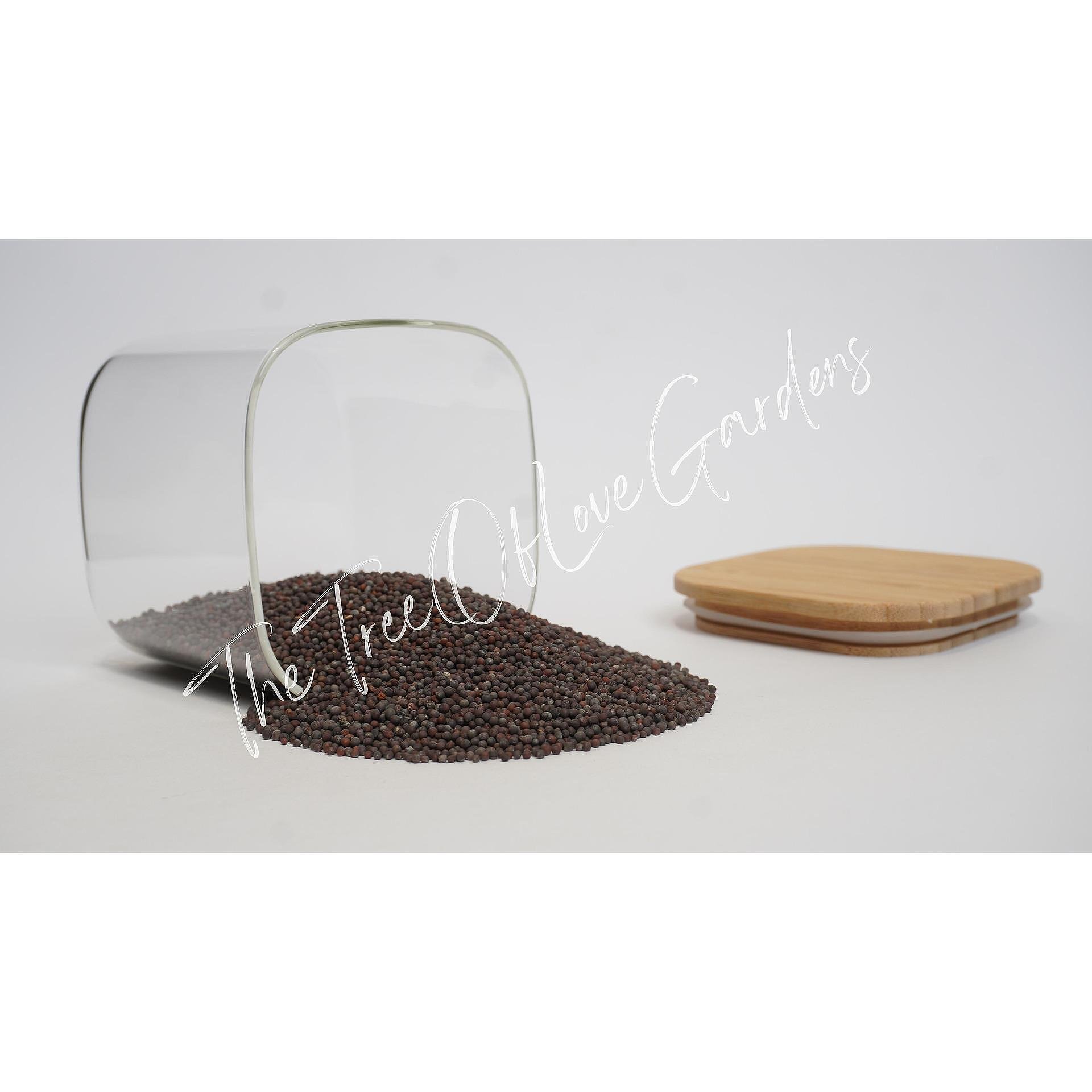 Black mustard seeds