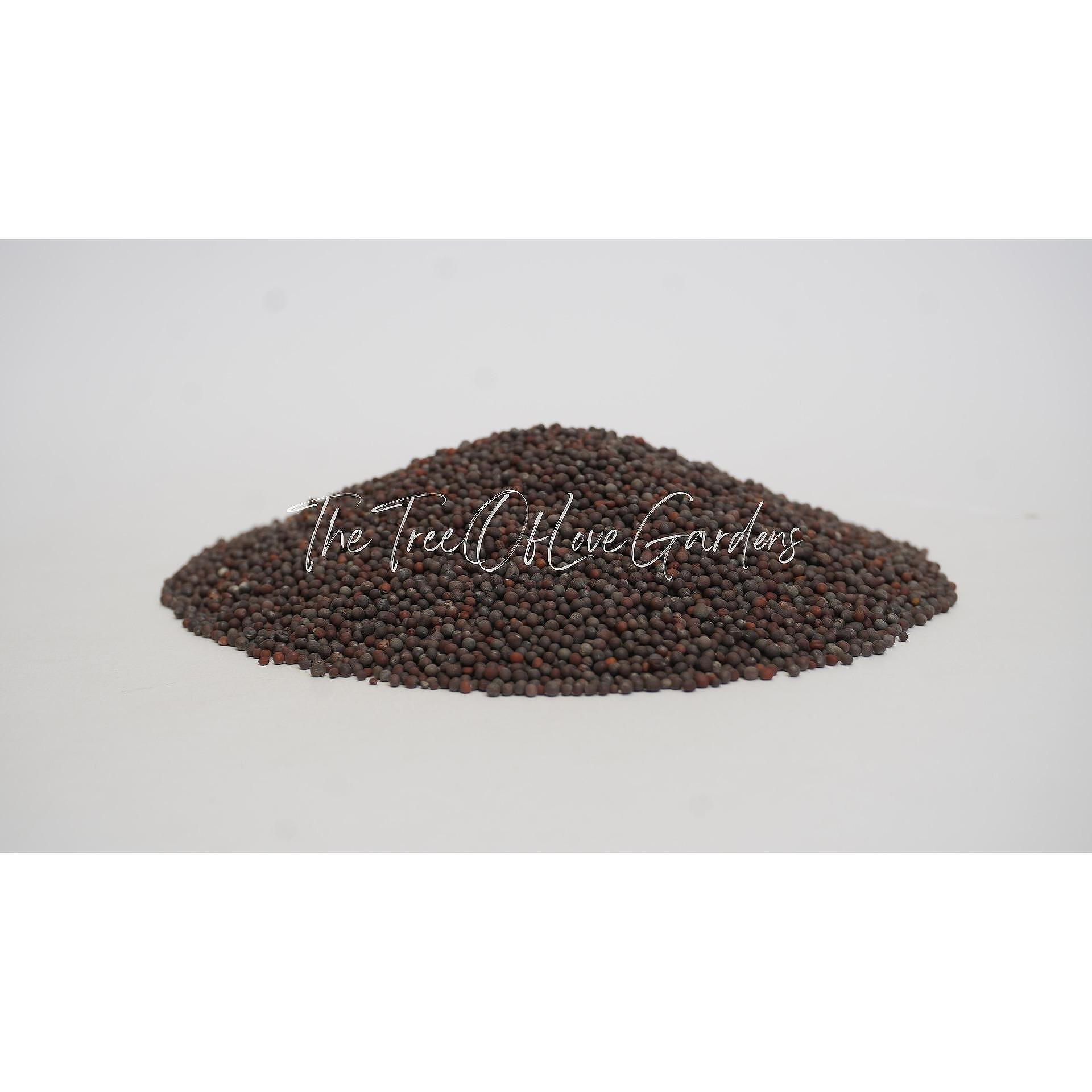 Black mustard seeds
