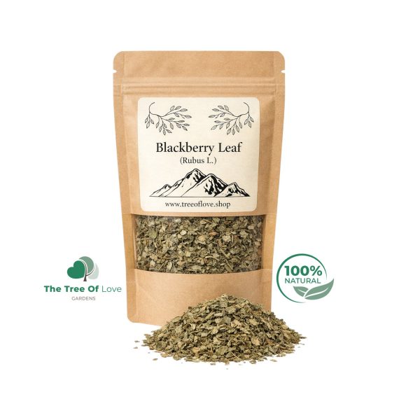 Blackberry Leaf