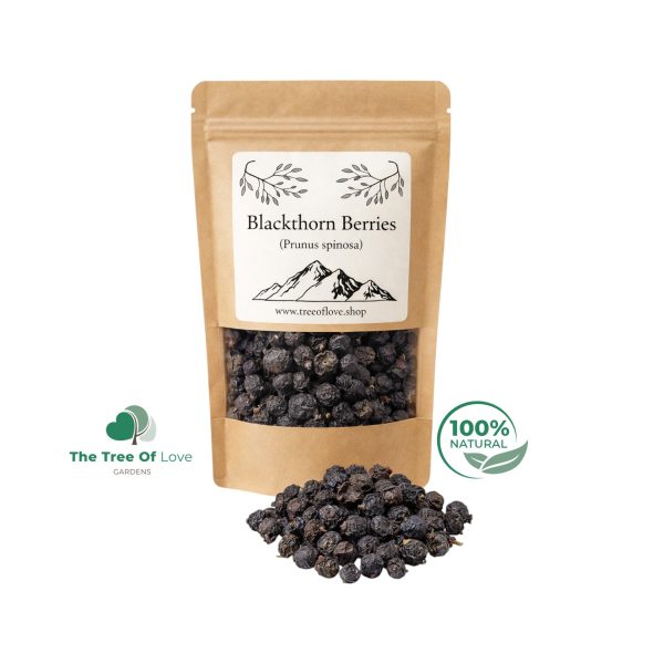 BLACKTHORN Berries