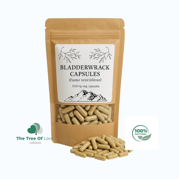 Bladderwrack Capsules