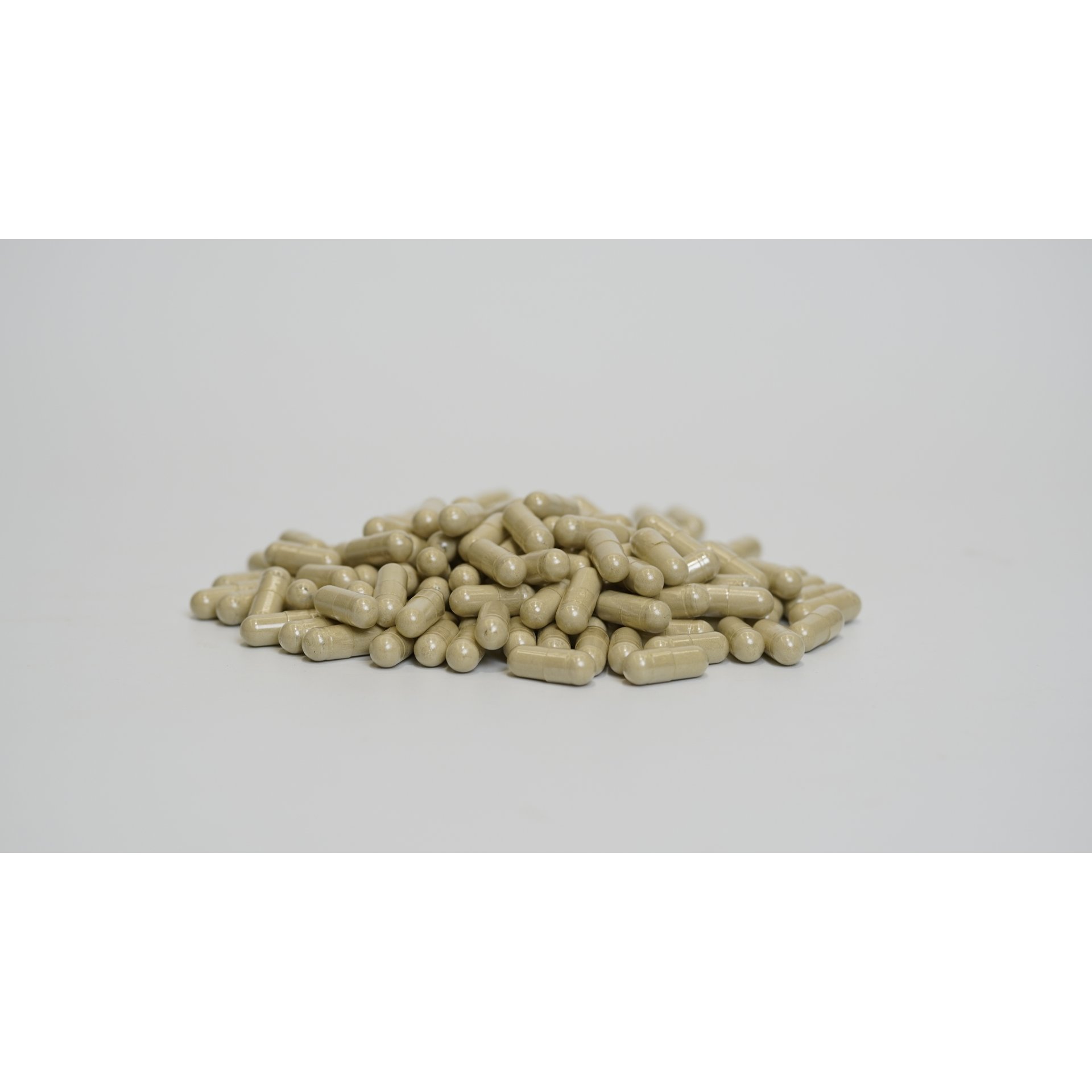 Bladderwrack Capsules