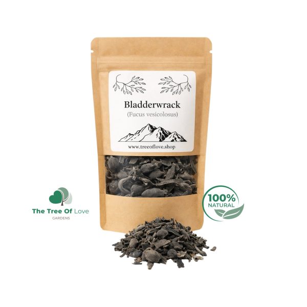 Bladderwrack Cuts or Powder