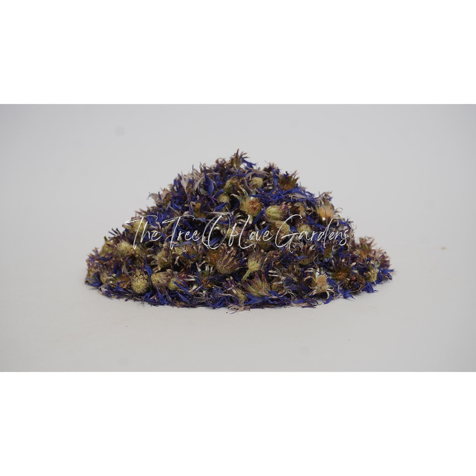Blue Cornflower Petals & Buds
