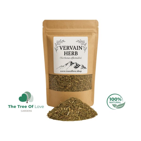 Vervain