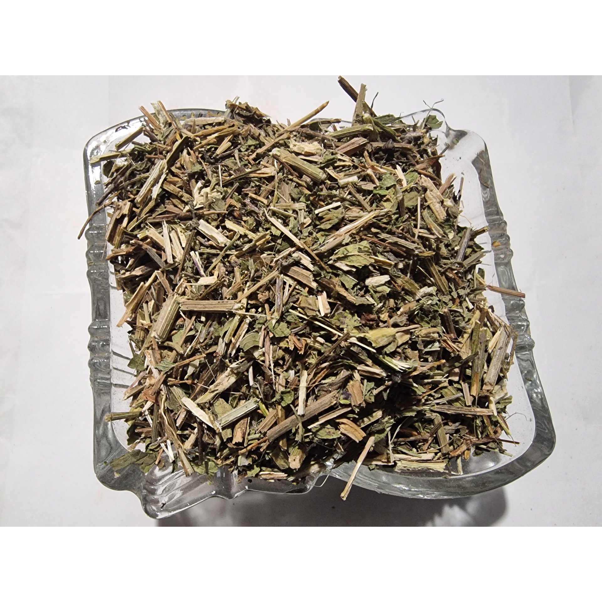 Vervain