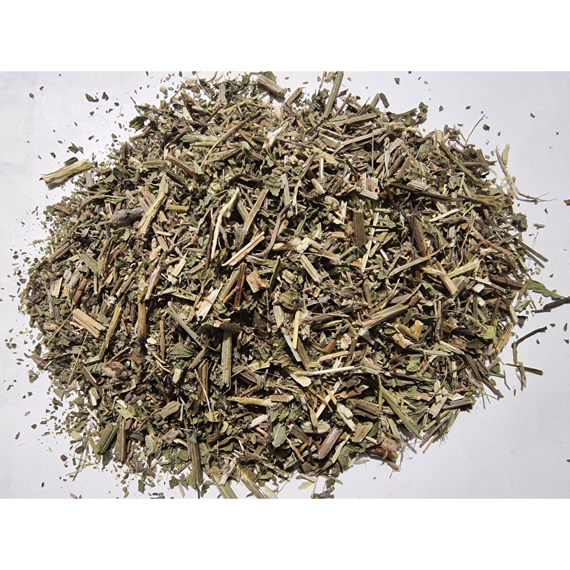 Vervain