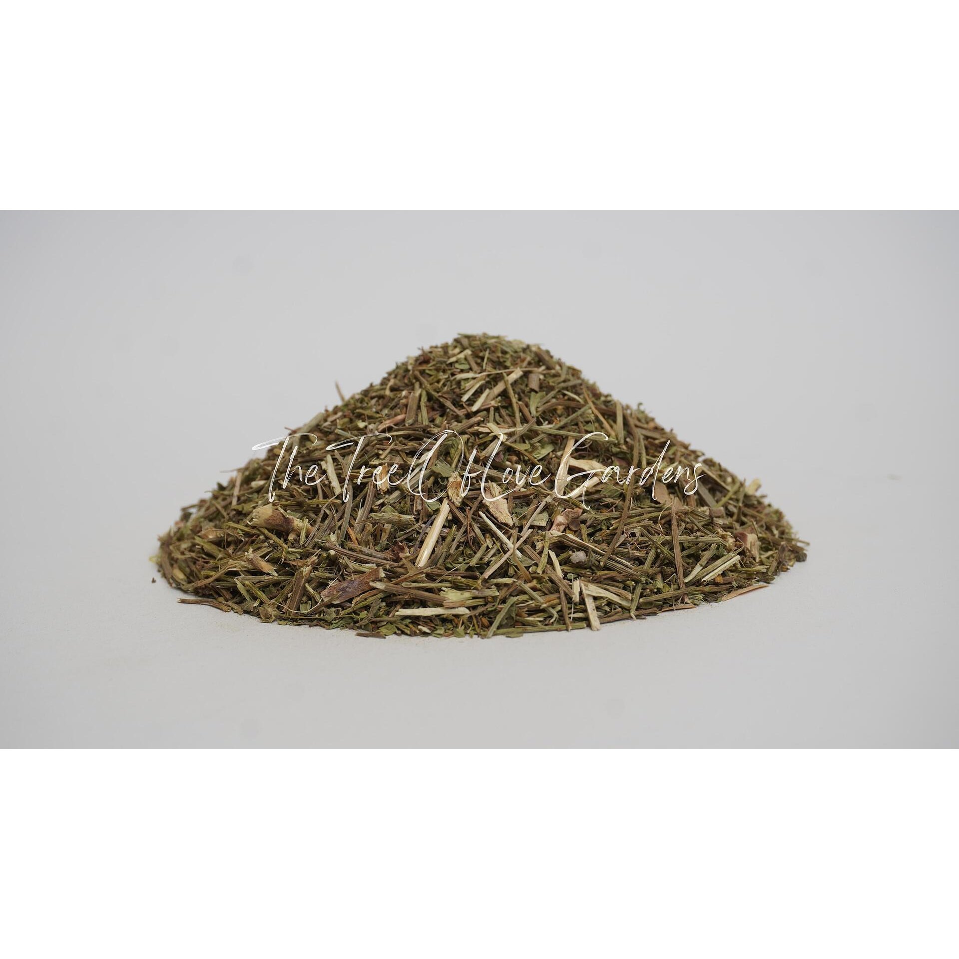 Vervain