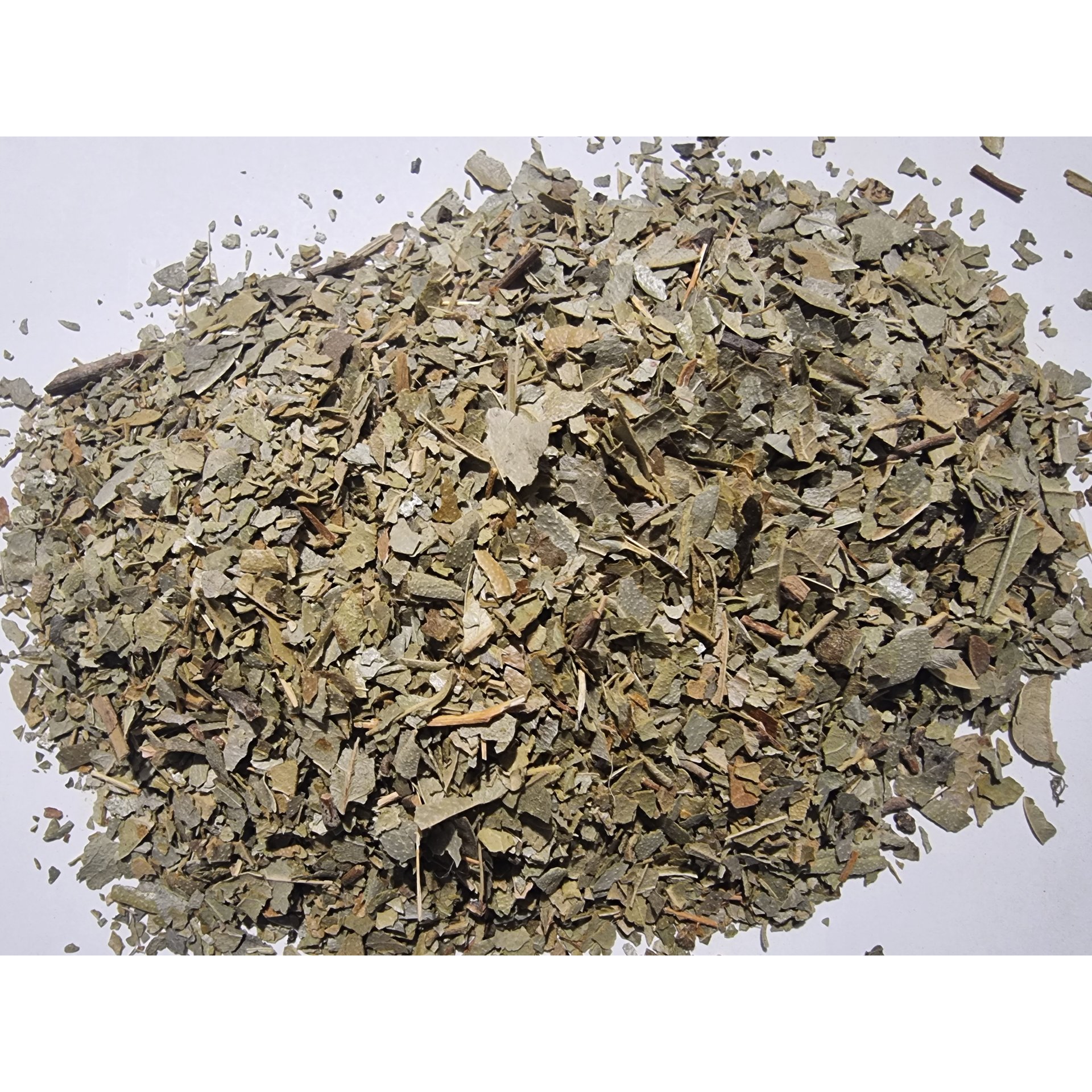 Boldo Leaf