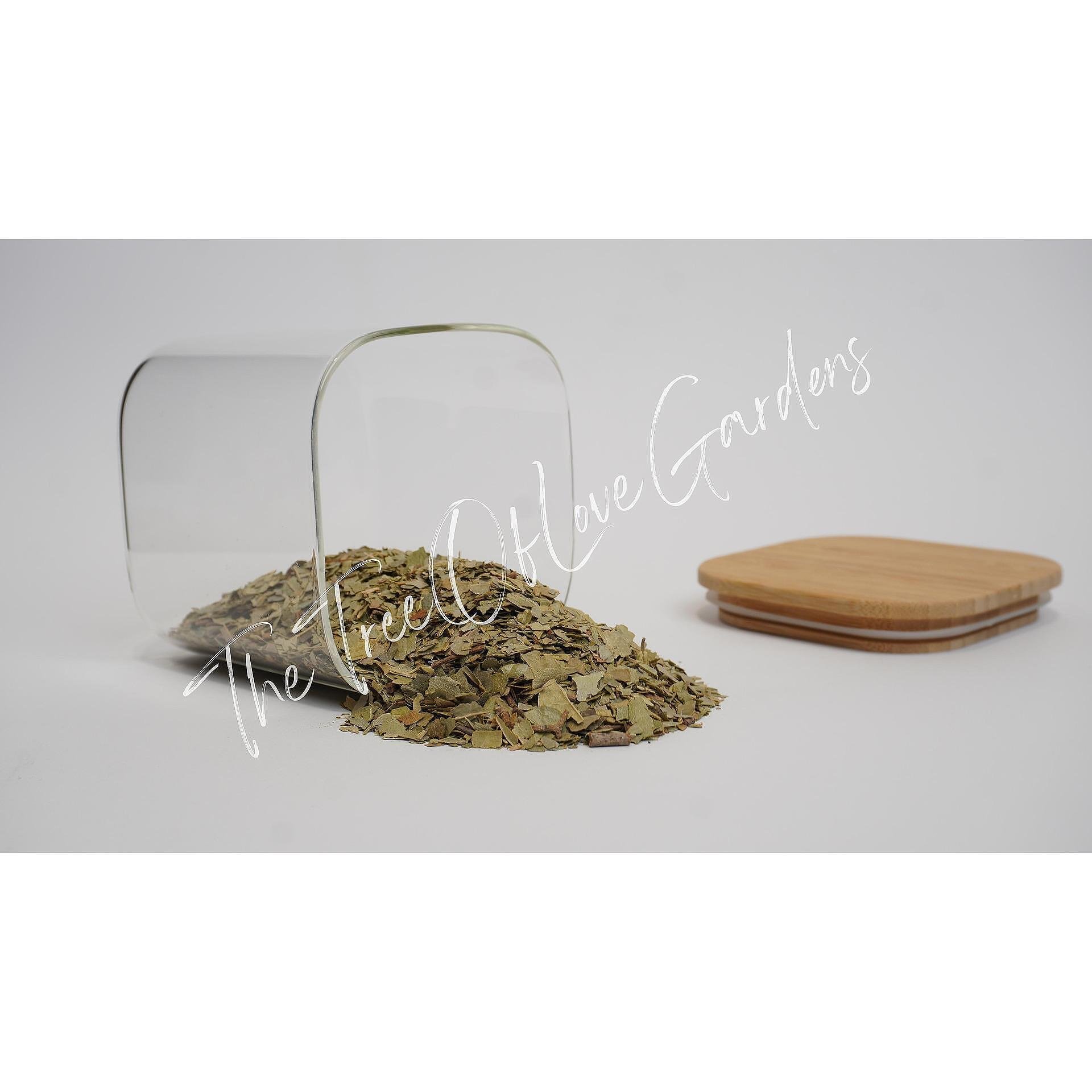 Boldo Leaf