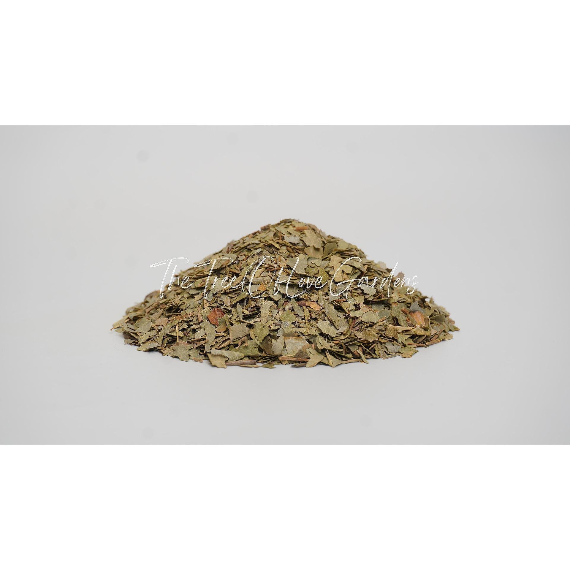 Boldo Leaf