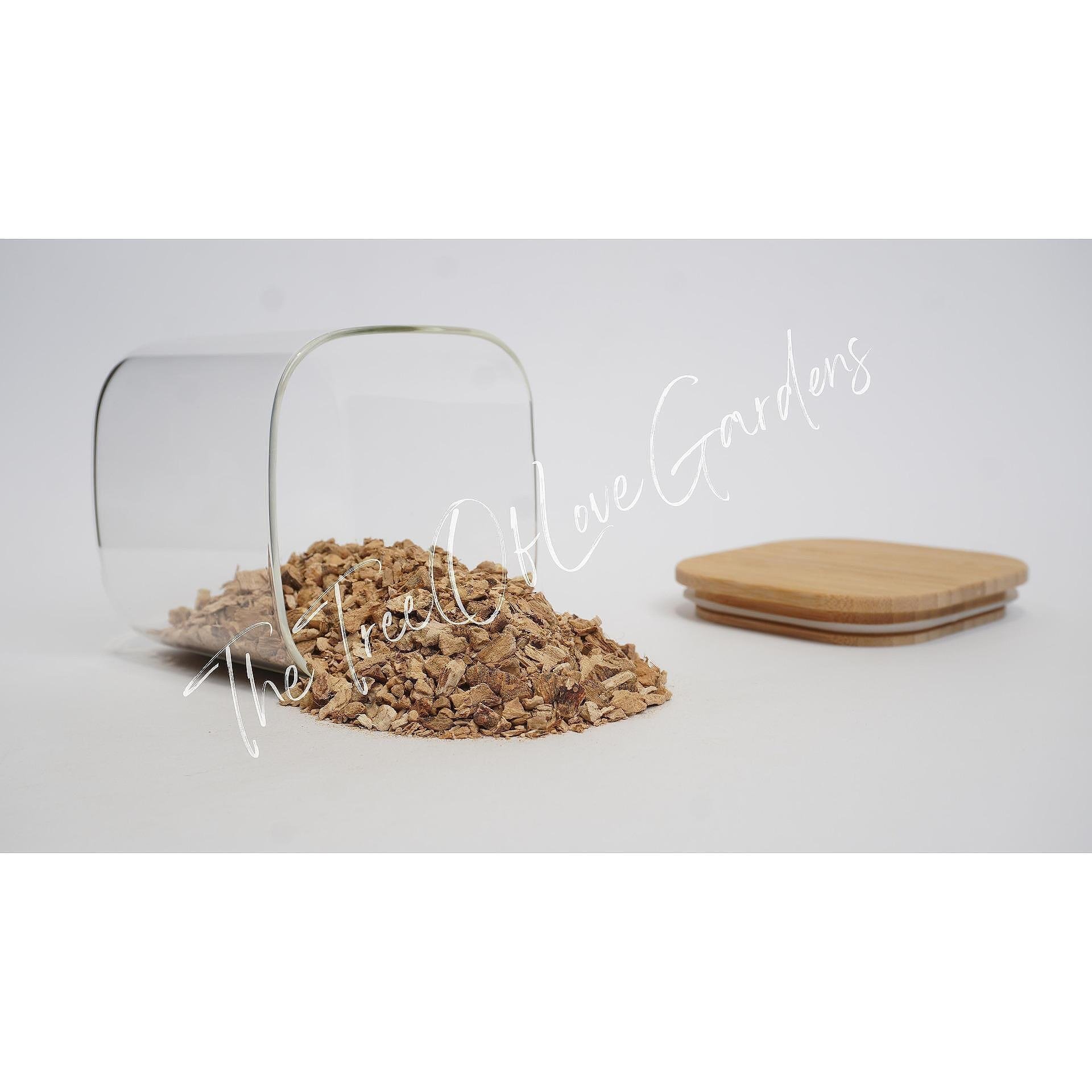 Calamus Root