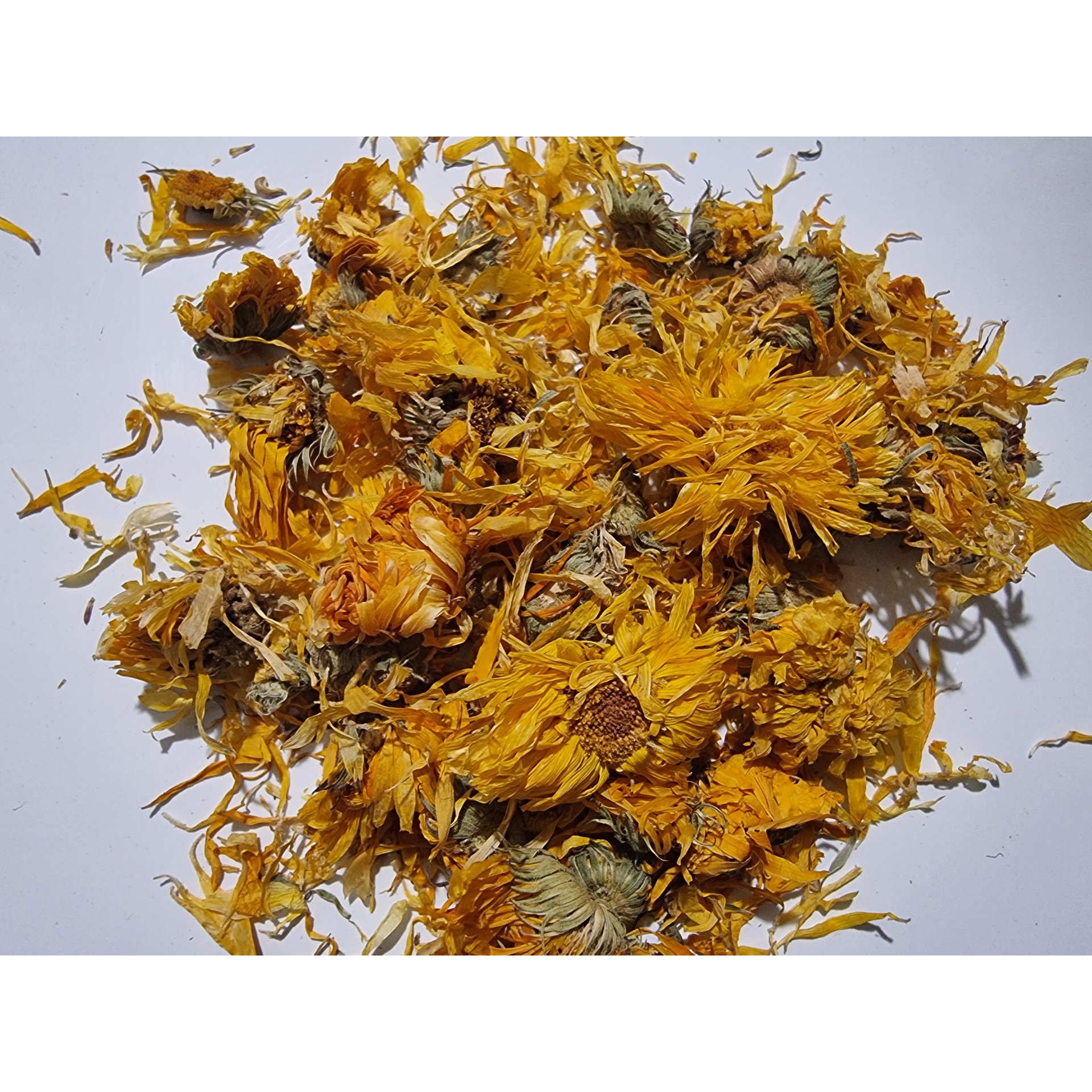 Calendula Flowers