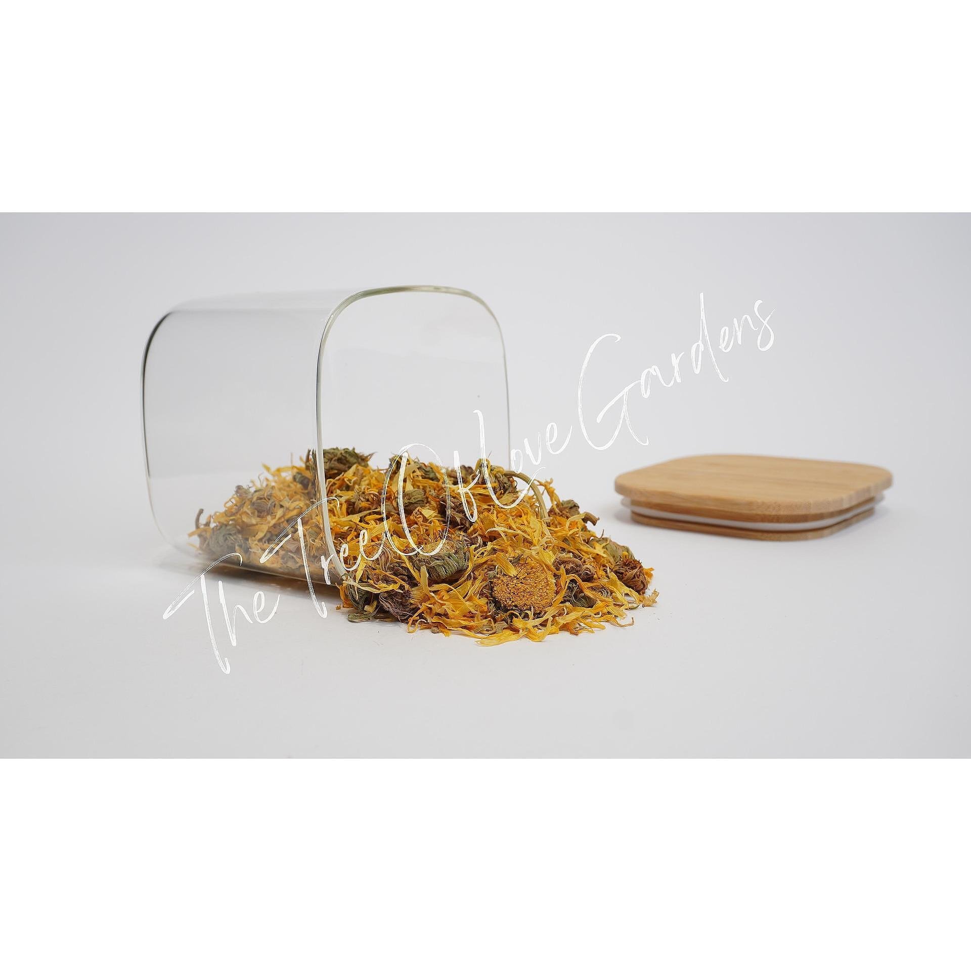 Calendula Flowers