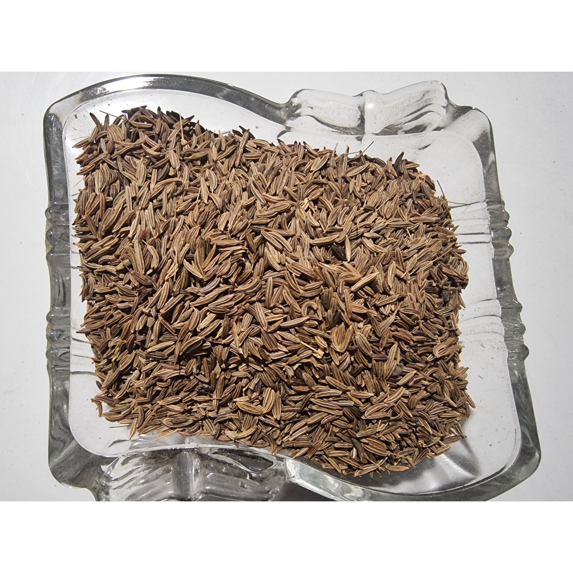 Caraway Seed