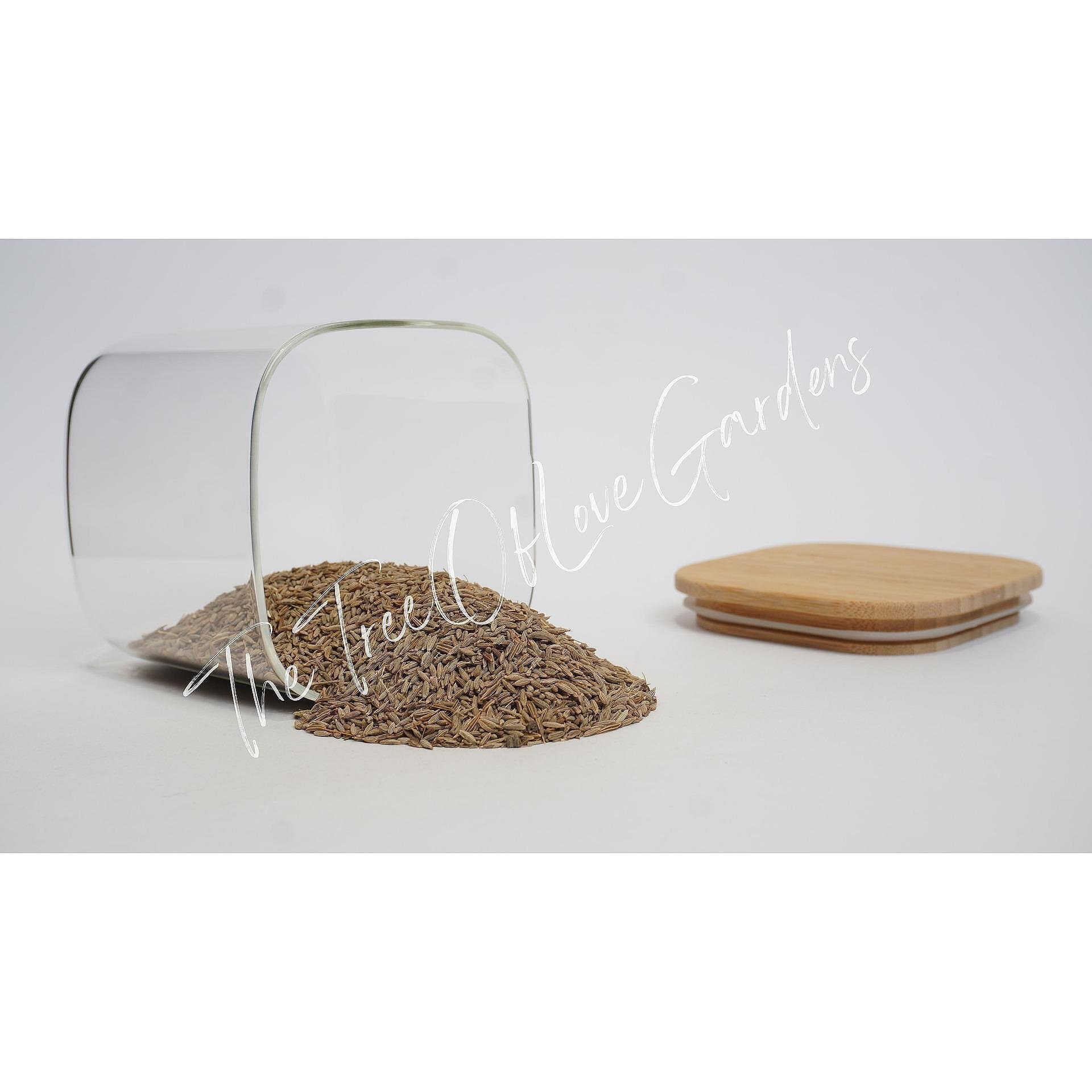 Caraway Seed