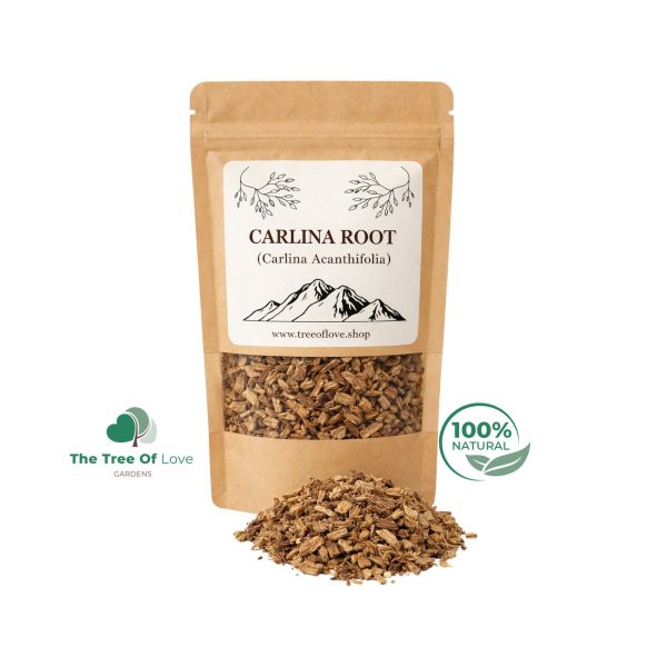 Carlina Root