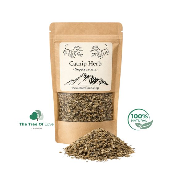 Catnip