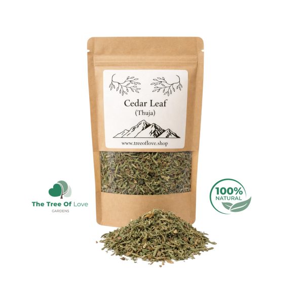 CEDAR LEAF