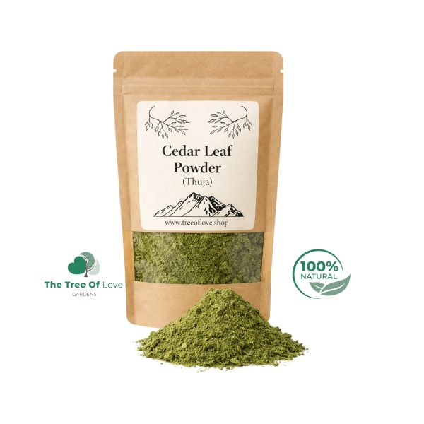 Cedar Leaf Powder
