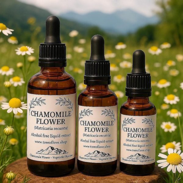 Chamomile Flower Glycerite