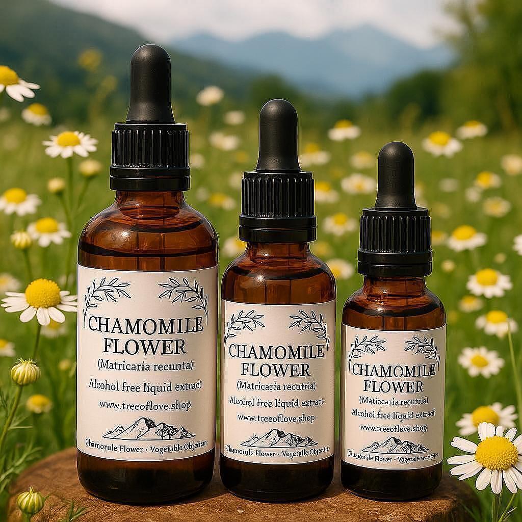 Chamomile Flower Glycerite