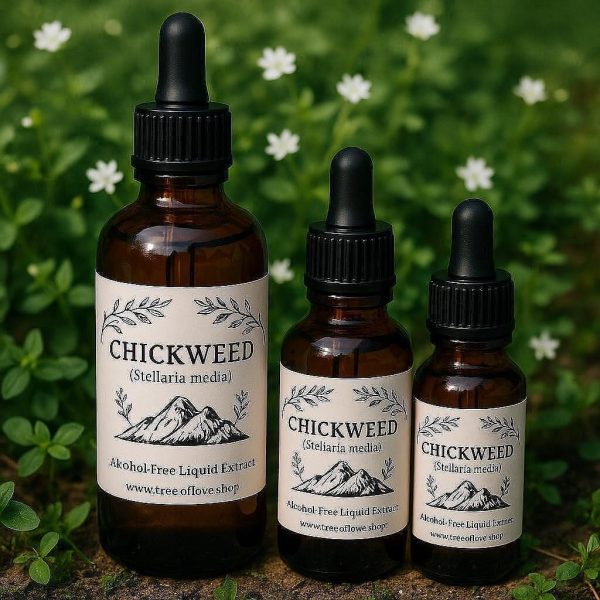 Chickweed Glycerite