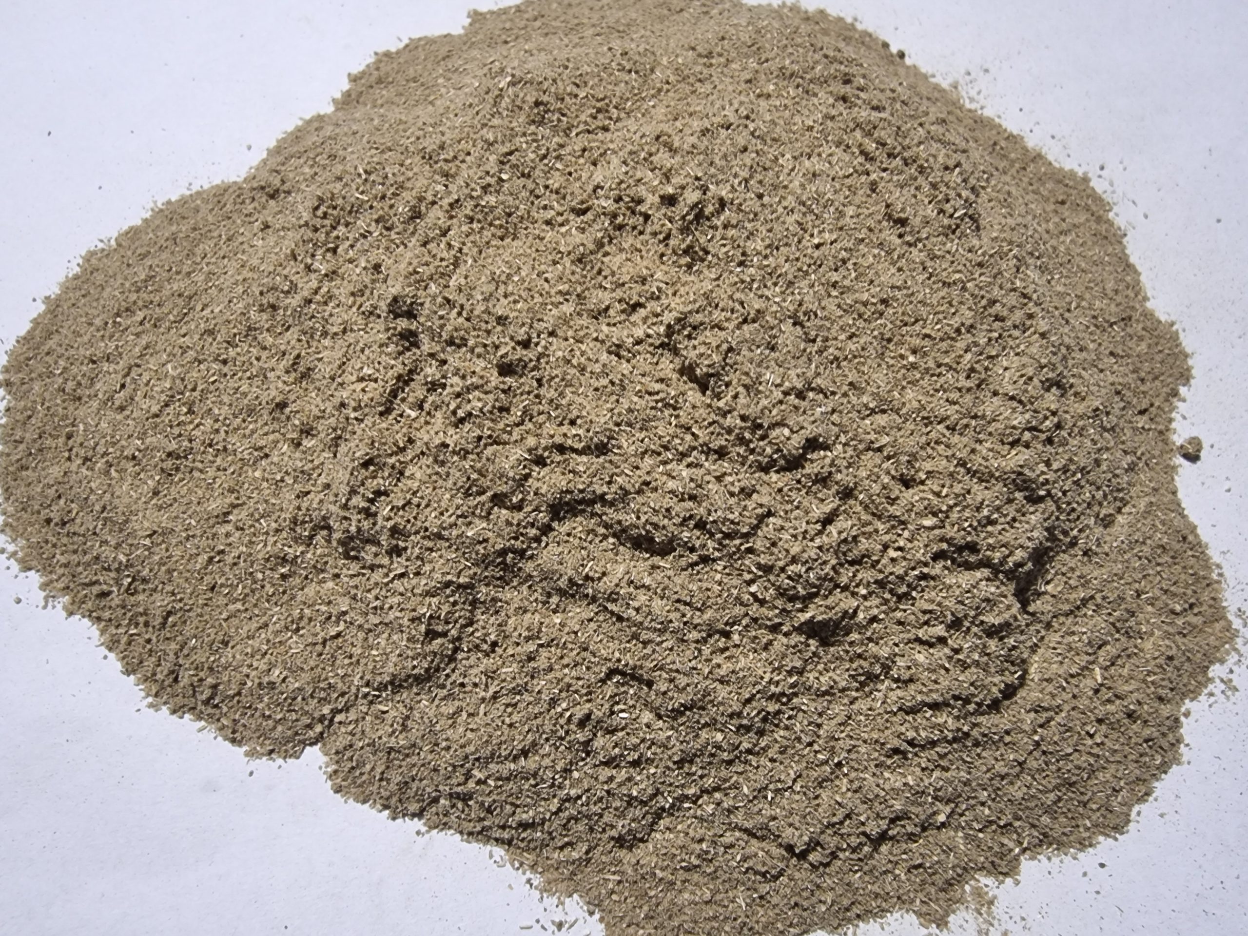 Chicory Herb Powder