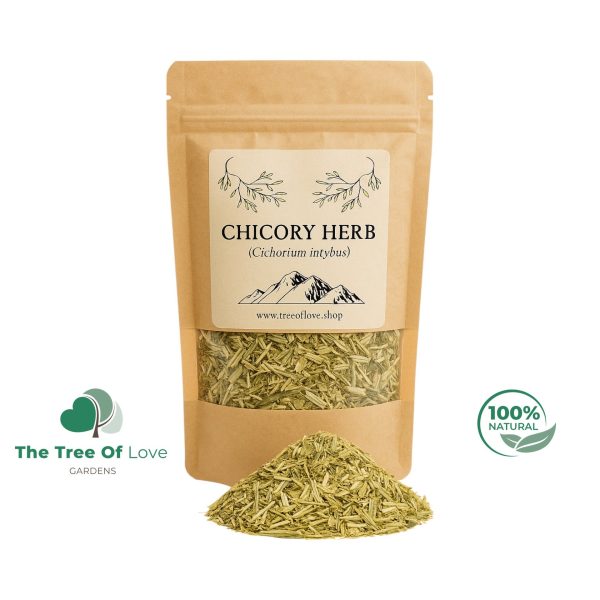 CHICORY Herb